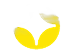 ZizoBet casino logo — ranked #5